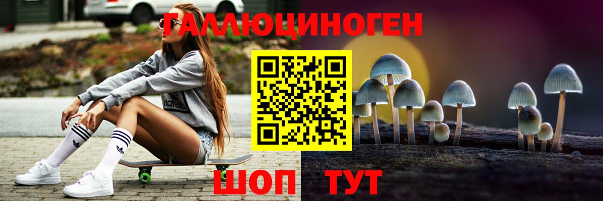 Псилоцибиновые грибы Cubensis  Вход с VPN  Глазов 